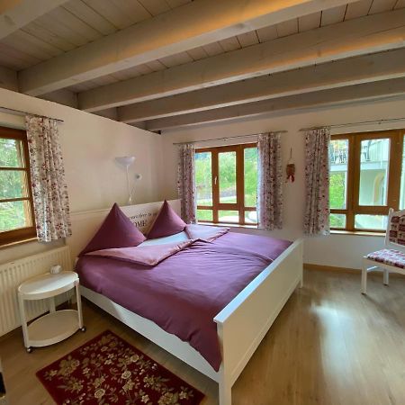 Kleines Haus Silberdistel Daire Todtmoos Dış mekan fotoğraf