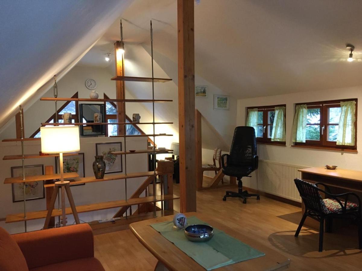 Kleines Haus Silberdistel Daire Todtmoos Dış mekan fotoğraf