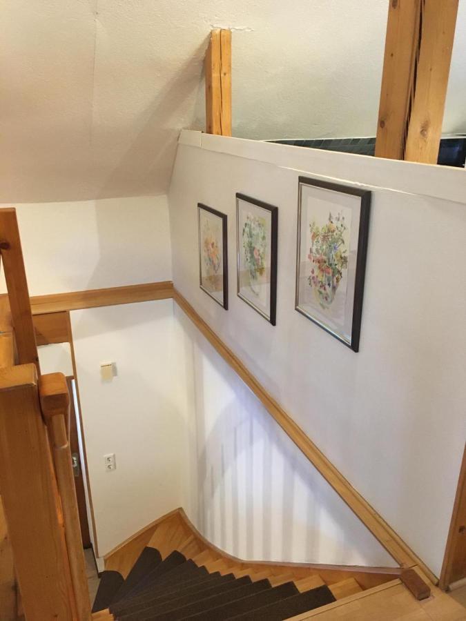 Kleines Haus Silberdistel Daire Todtmoos Dış mekan fotoğraf