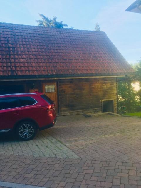 Kleines Haus Silberdistel Daire Todtmoos Dış mekan fotoğraf