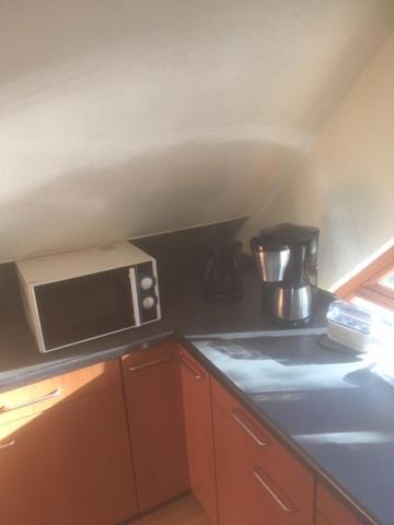 Kleines Haus Silberdistel Daire Todtmoos Dış mekan fotoğraf