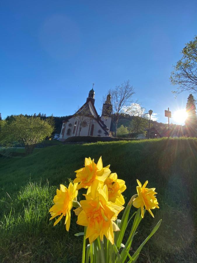 Kleines Haus Silberdistel Daire Todtmoos Dış mekan fotoğraf