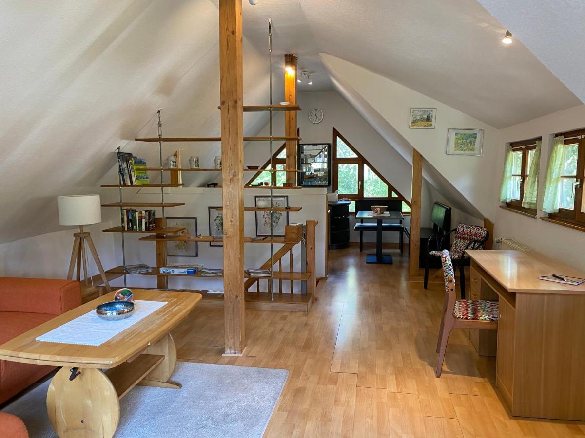 Kleines Haus Silberdistel Daire Todtmoos Dış mekan fotoğraf
