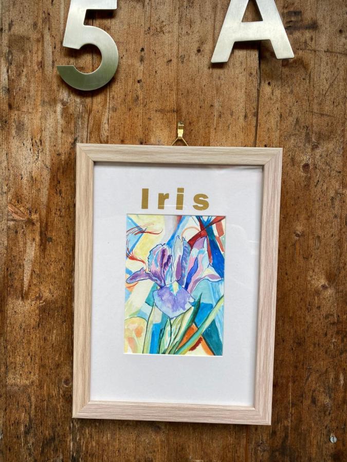 Kleines Haus Silberdistel Daire Todtmoos Dış mekan fotoğraf